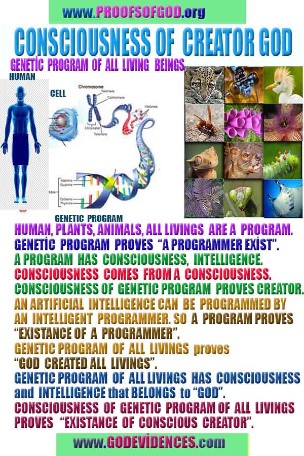 proofs of god, evidences of god, god-proofs, god-signs, god-evidences, god exists, god-real, god is real, 上帝的證明，上帝的證據，上帝的跡象，上帝的證據，上帝的證據，上帝是真實的，上帝存在 