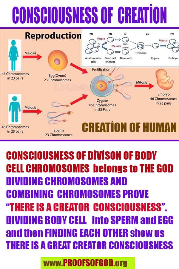 proofs of god, evidences of god, god-proofs, god-signs, god-evidences, god exists, god-real, god is real, preuves de dieu, preuves de dieu, signes de dieu, preuves-dieu, preuves-dieu, dieu est réel, dieu existe 