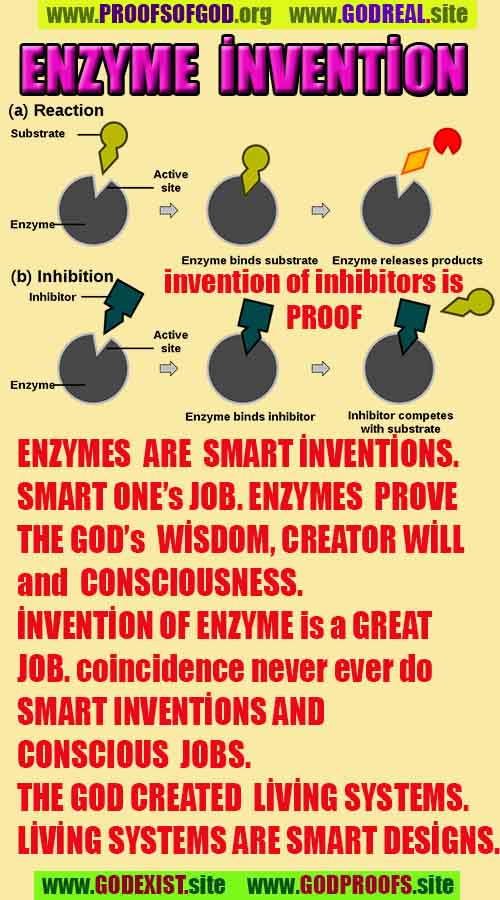 proofs of god, evidences of god, god-proofs, god-signs, god-evidences, god exists, god-real, god is real,god-exists, #god, 신의 증거, 신의 증거, 신의 표징, 증거-신, 증거-신, 신은 실재한다, 신은 존재한다 