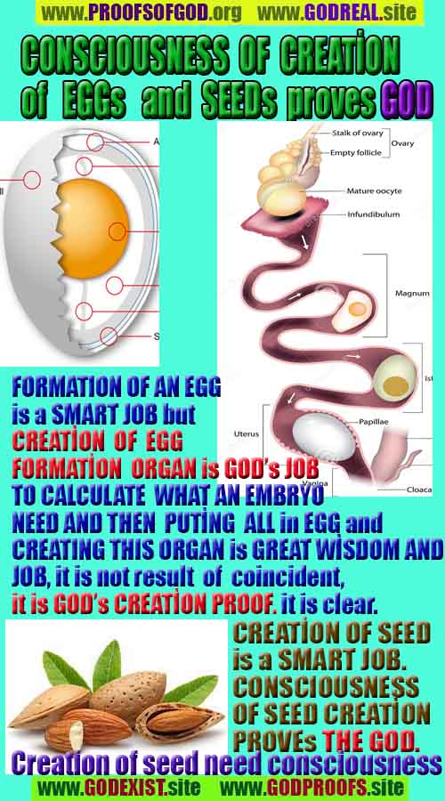 proofs of god, evidences of god, god-proofs, god-signs, god-evidences, god exists, god-real, god is real,god-exists, #god, #godreal, #godexists, #godproofs, bukti-bukti tuhan, bukti-bukti tuhan, tanda-tanda tuhan, bukti-tuhan, bukti-tuhan, tuhan itu nyata, tuhan itu ada, @tuhan, #tuhan